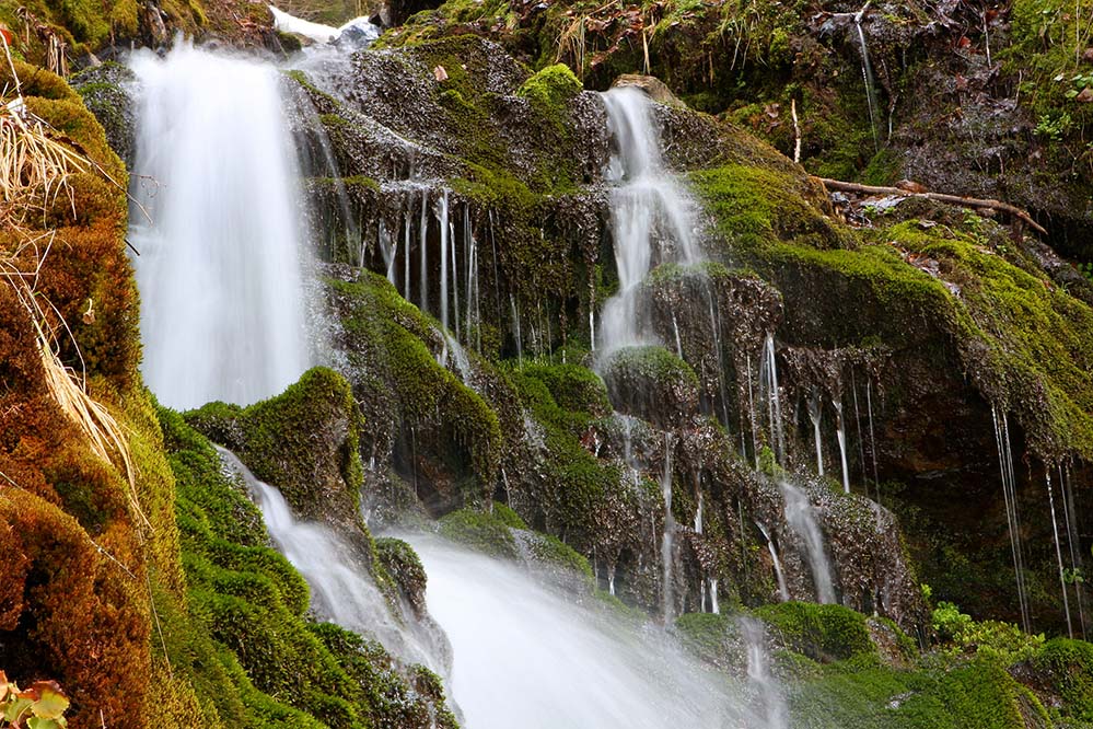 Lebenskraft des Kristberger Gebirgsquellwassers