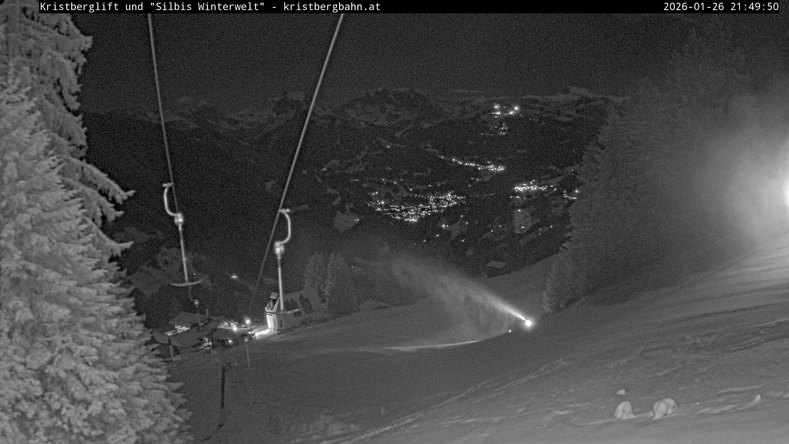 Веб-камера Зильберталь